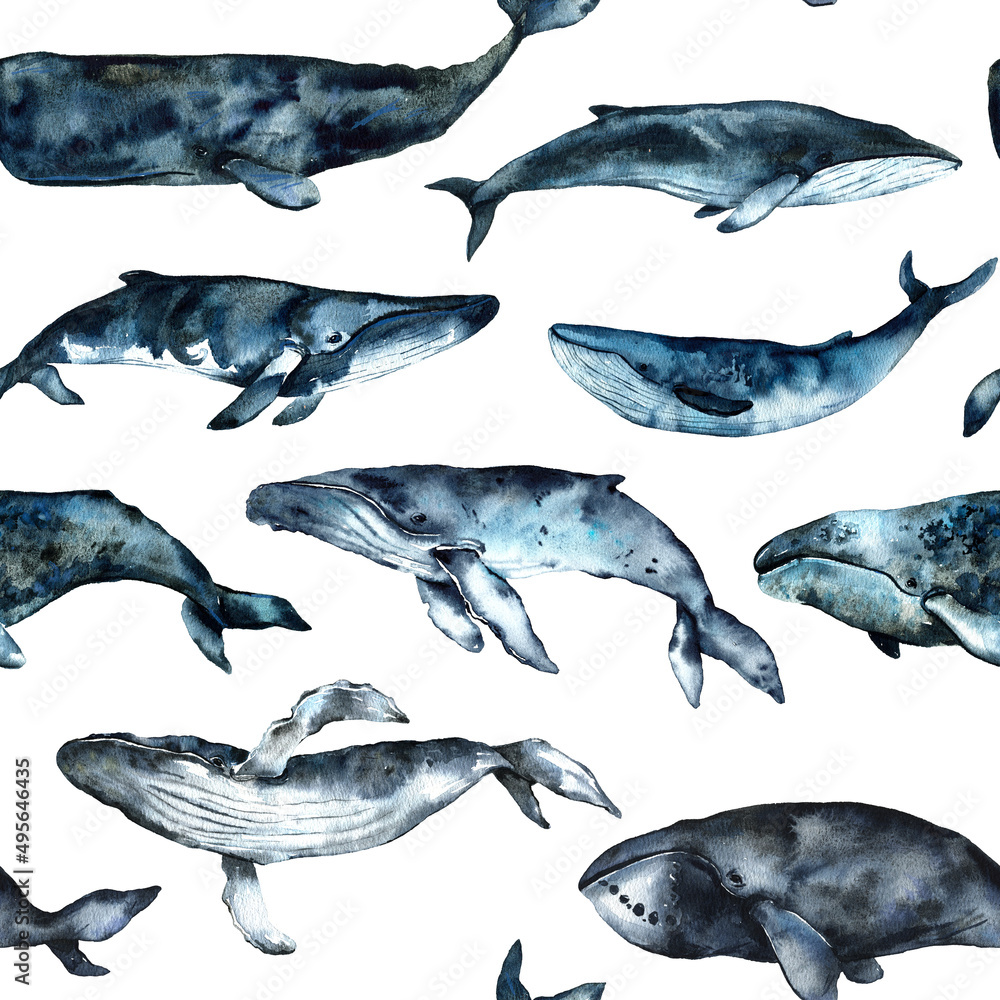 Seamless pattern hand painted in watercolor with Whales, ocean animals isolated on white background. Cute cartoon underwater animals textile pattern. High quality illustration Seamless pattern hand painted in watercolor with Whales, ocean animals isolated on white background. Cute cartoon underwater animals textile pattern. High quality illustration