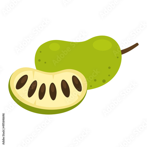 American pawpaw whole fruit and half sliced isolated on white background. Asimina triloba, paw paw or custard apple icon for package design. Vector illustration.