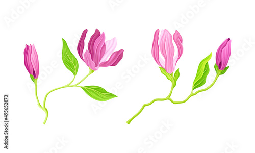 Pink flowers with stem and leaves, greeting card or invitation design vector illustration