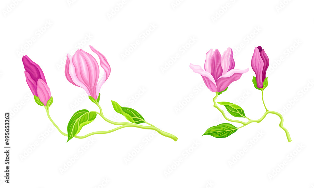 Twigs with pink flowers, green leaves and buds, greeting card or invitation design vector illustration