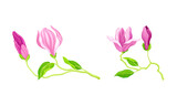 Twigs with pink flowers, green leaves and buds, greeting card or invitation design vector illustration