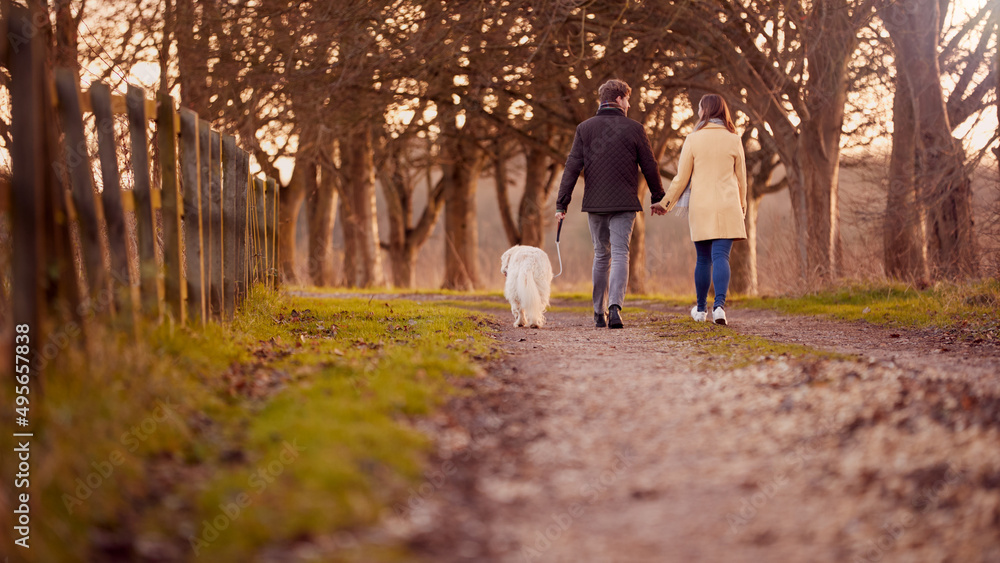 Fototapeta premium Rear View Of Couple Walking Pet Dog Through Winter Countryside