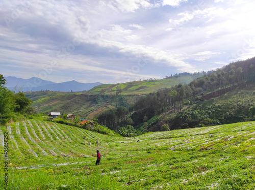 Hills planted with various vegetables during the rainy season in the Cikancung area, Indonesia © Adam
