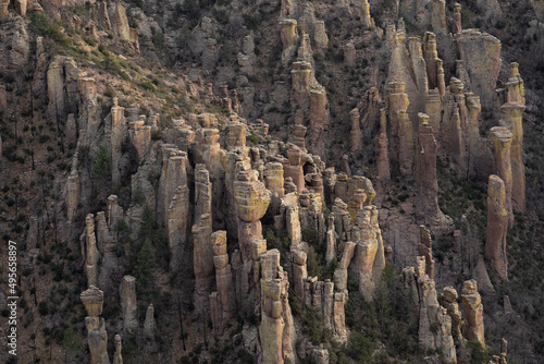 Spring landscape of the hoodoos of Chiricahua National Monument, Arizona, USA