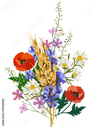 Vector illustration of wild flowers and wheat spikelets isolated on white background. Poppies, cornflowers, camomiles, field carnations and green herbs.