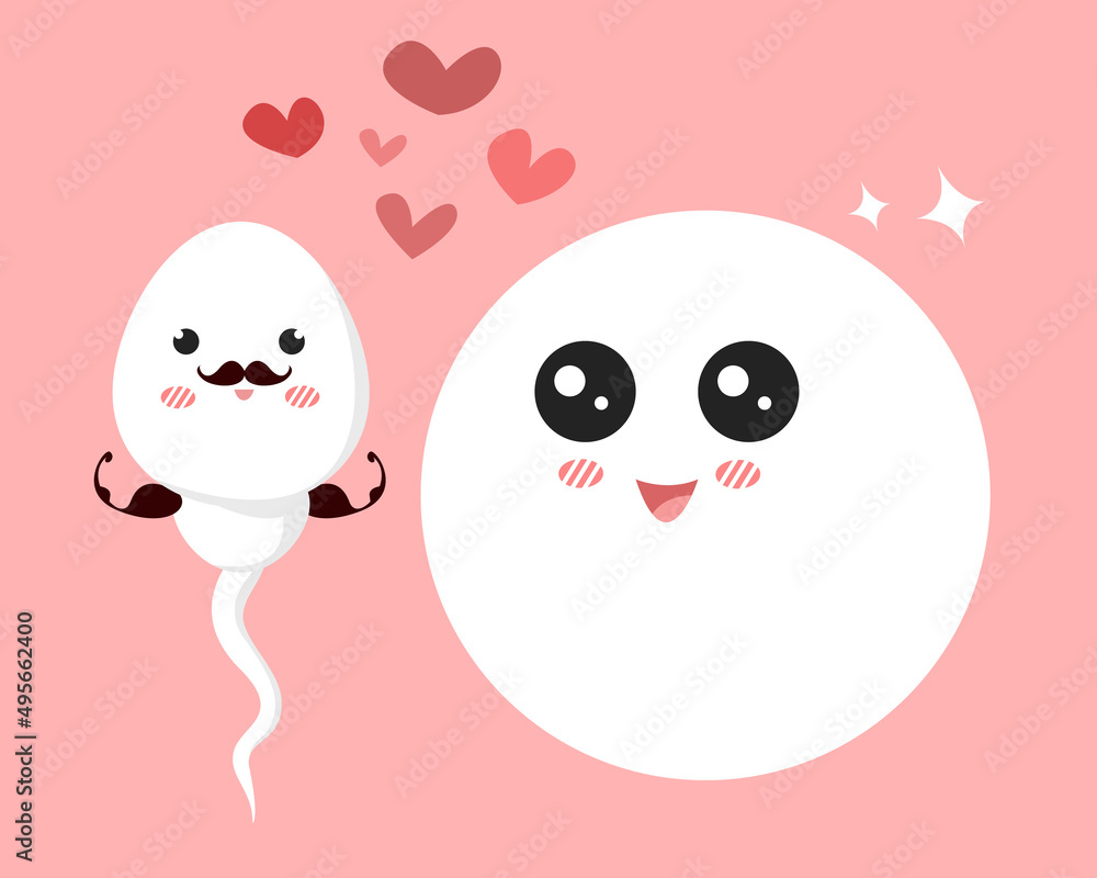 sperm and egg cartoon character. vector illustration
