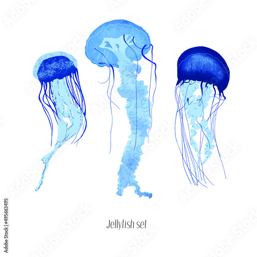 Jellyfish design vector illustration set.Creative Jellyfish logo design concepts template, icon symbol.Blue element. © Makarova Art
