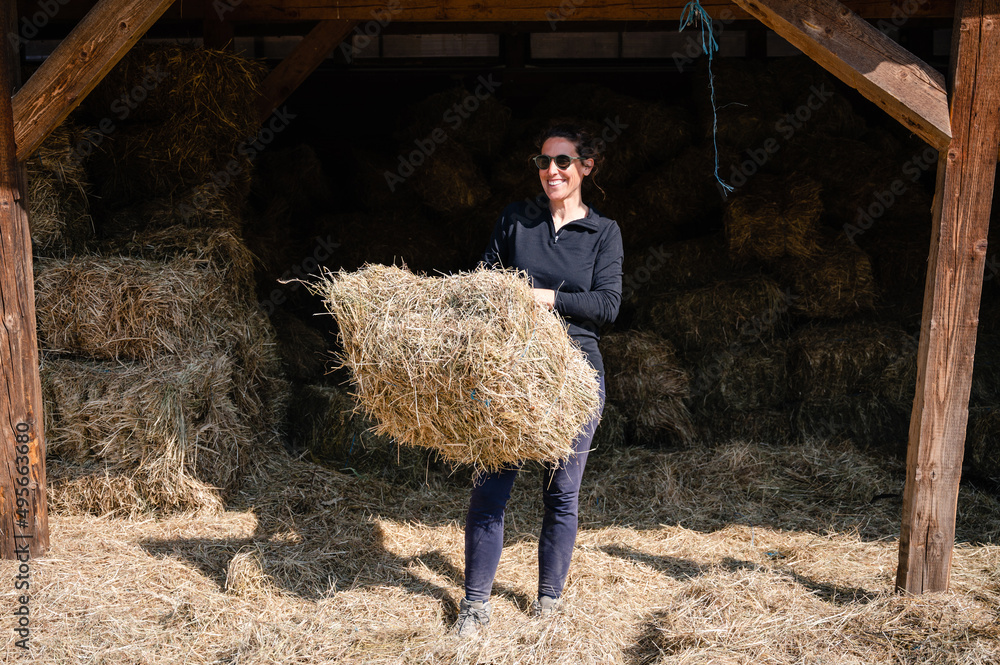 Smiling and happy looking female farmer posing with haystack in her hands, barn full of hay on sunny day