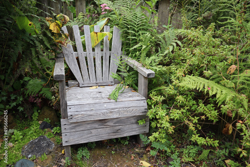 View of a green garden with differen plants and wooden old armchair photo