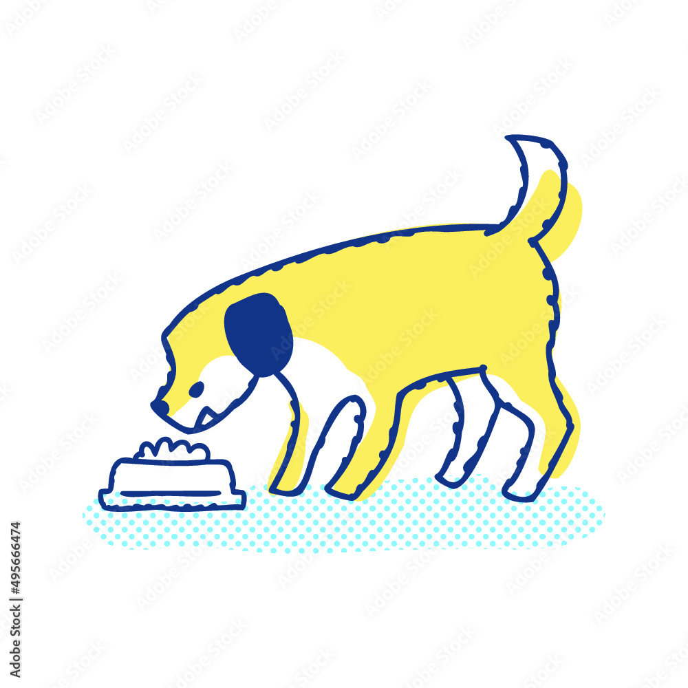 ドッグフードを食べている犬 ドッグフードを食べている犬