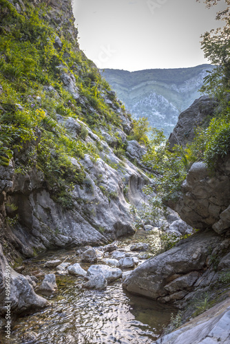 Stream of water in Skurda Canyon in Montenegro in summer photo