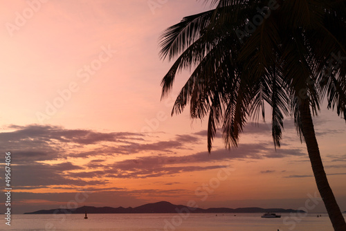 Silhouette coconut palm tree on sea and sunset sky background