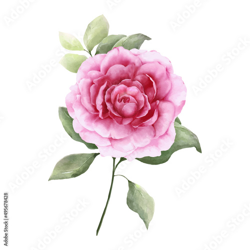 Watercolor painting of a pink rose bouquet © Artnizu