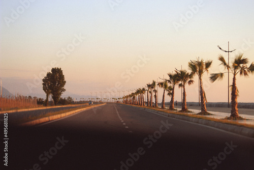 Open road with palms. High quality photo