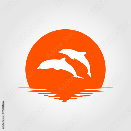 dolphin with sunset background vector design
