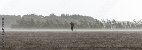 Panoramic shot of detectorists looking for ancient metal on the fields in Denmark photo