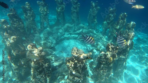 Beautiful underwater park of Gili Meno Indonesia with tropical colorful fish photo