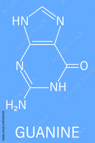 Guanine (G) purine nucleobase molecule. Base present in DNA and RNA. Skeletal formula.