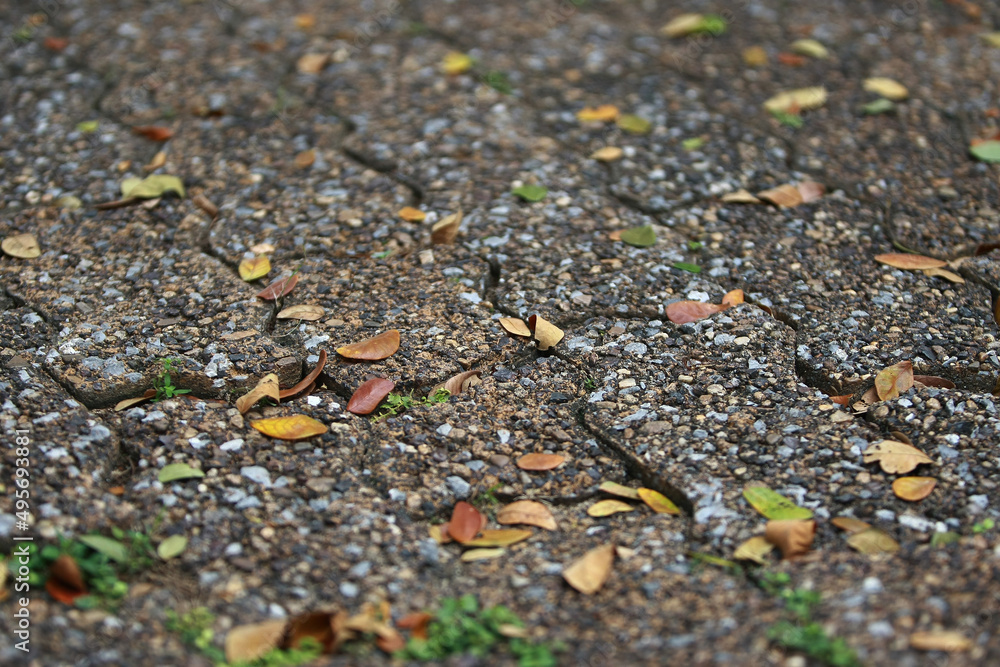 Brick concrete cement texture background on the road Brick concrete cement texture background on the road