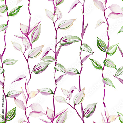 Seamless pattern of colorful tradescantia plant. Branches with leaves on light pink background. Watercolor hand drawn. photo