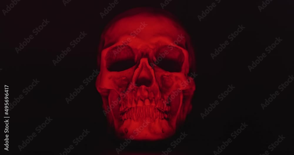 Skull with colored lighting loop closeup Skull with colored lighting loop closeup