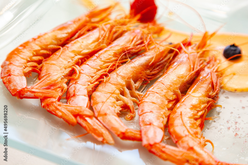 Langostinos a la plancha sobre plato blanco. Comida del mar. Pescados y mariscos. Langostinos a la plancha sobre plato blanco. Comida del mar. Pescados y mariscos.