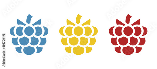 raspberry icon on a white background, vector illustration