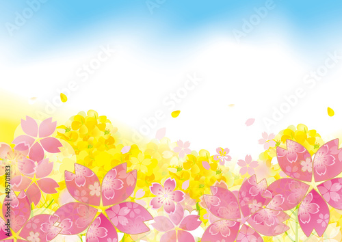 桜と菜の花の美しい背景イラスト