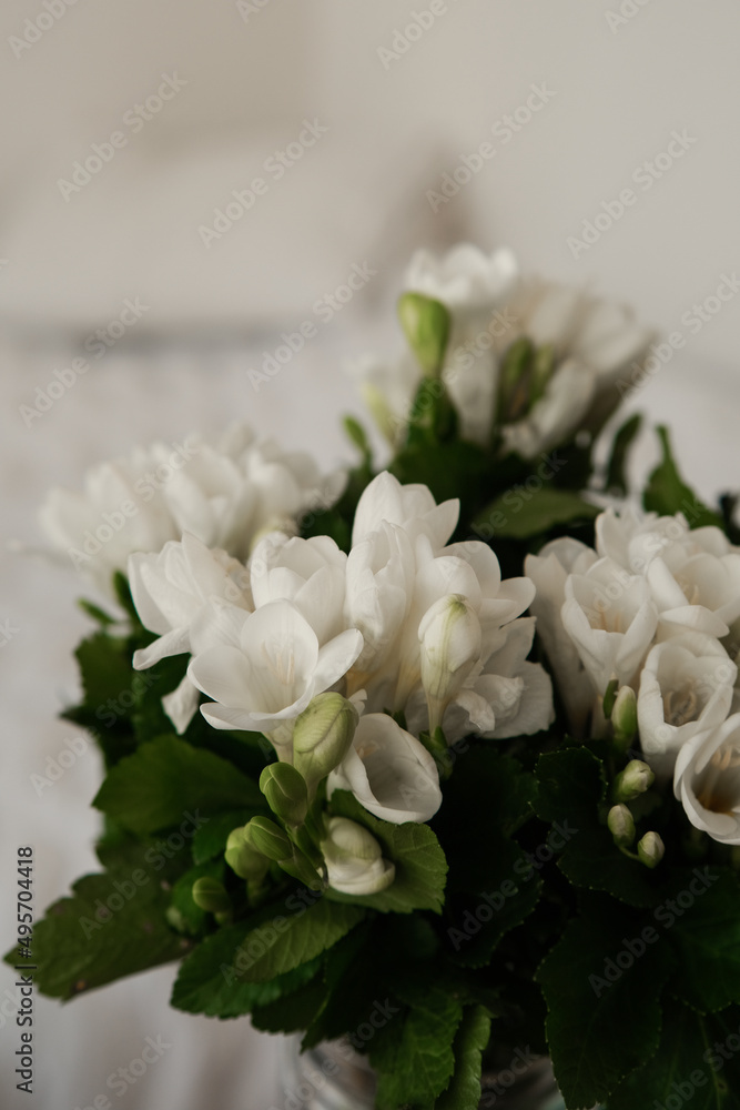 Obraz premium Bouquet of white flowers in a glass vase on a wooden shelf. Spring is in the city and in the soul. A festive bouquet. Morning surprise.