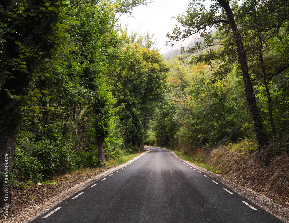 Fototapeta premium Nature Road