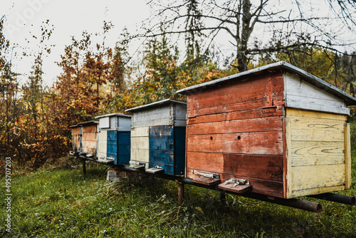 wooden colored hives for bees and honey stand in an apiary in the garden 2