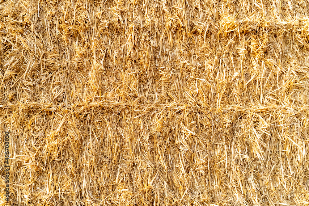 Background of a bale of wheat. Fodder concept for feeding farm animals. Background of a bale of wheat. Fodder concept for feeding farm animals.