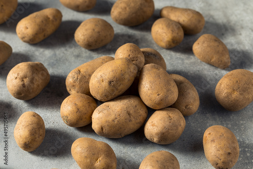 Raw Organic Russet Potatoes