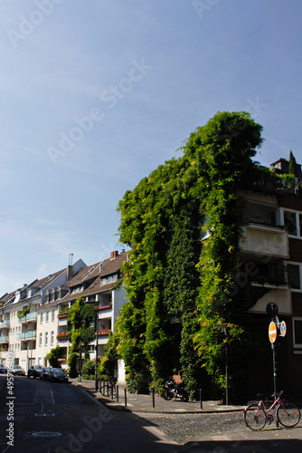 Cologne Streets On A Summer's Day