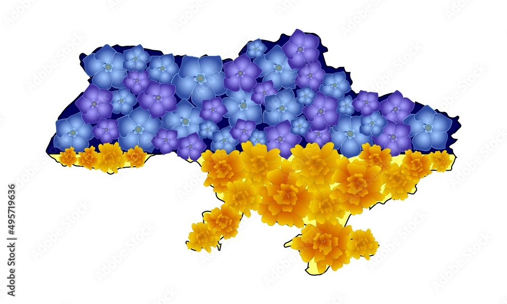 Map of Ukraine in yellow and blue colors and the country's national flowers.
