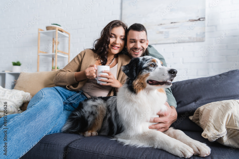 smiling young woman holding cup near bearded boyfriend cuddling australian shepherd dog.