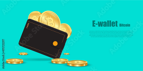 Wallet bitcoin