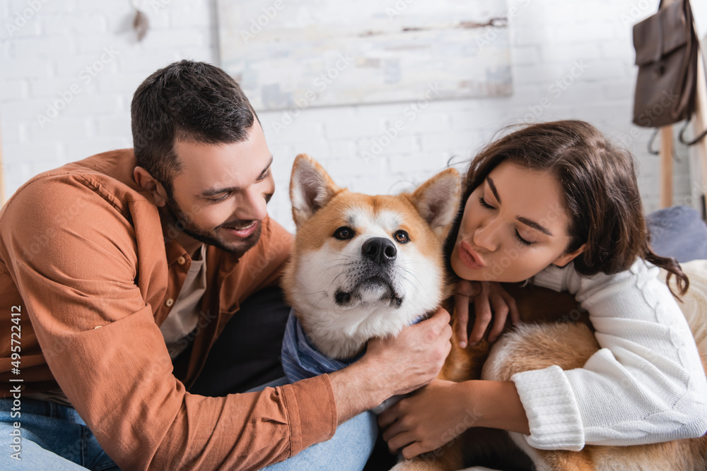young couple hugging akita inu dog at home. young couple hugging akita inu dog at home.