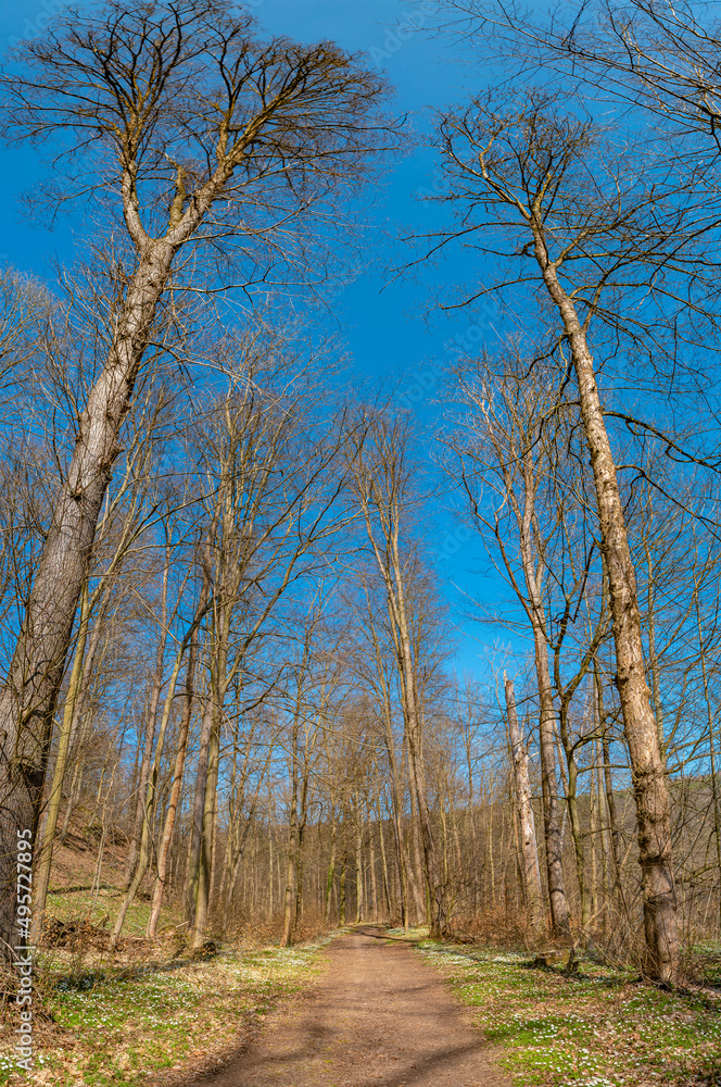 Hiking trail in magical deciduous and pine forest, rocky granite hills landscape at riverside of Zschopau river near Mittweida town, Saxony, Germany, at warm sunset and blue Spring sky. Hiking trail in magical deciduous and pine forest, rocky granite hills landscape at riverside of Zschopau river near Mittweida town, Saxony, Germany, at warm sunset and blue Spring sky.