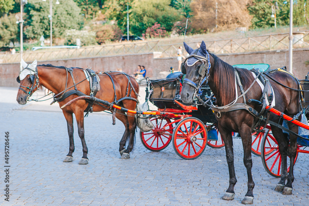 Traditional horse coach Fiaker in Europe Traditional horse coach Fiaker in Europe