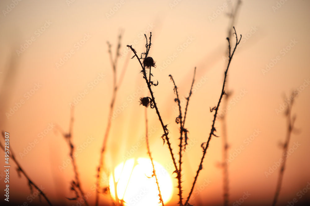 Obraz premium sunset in the mountains