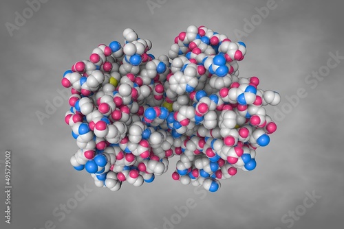 Human hemoglobin nitric oxide adduct. Space-filling molecular model. Rendering based on protein data bank entry 4n8t. Scientific background. 3d illustration