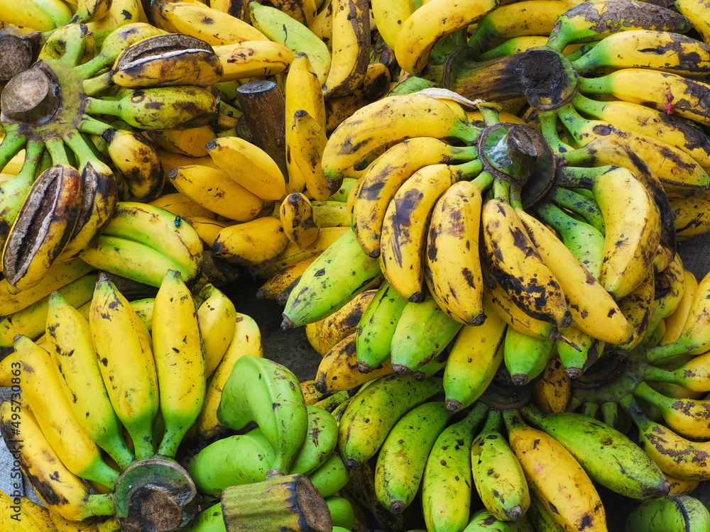 bananas in the greengrocer. yellow bananas background. bananas for sale on local market. traditional market. 