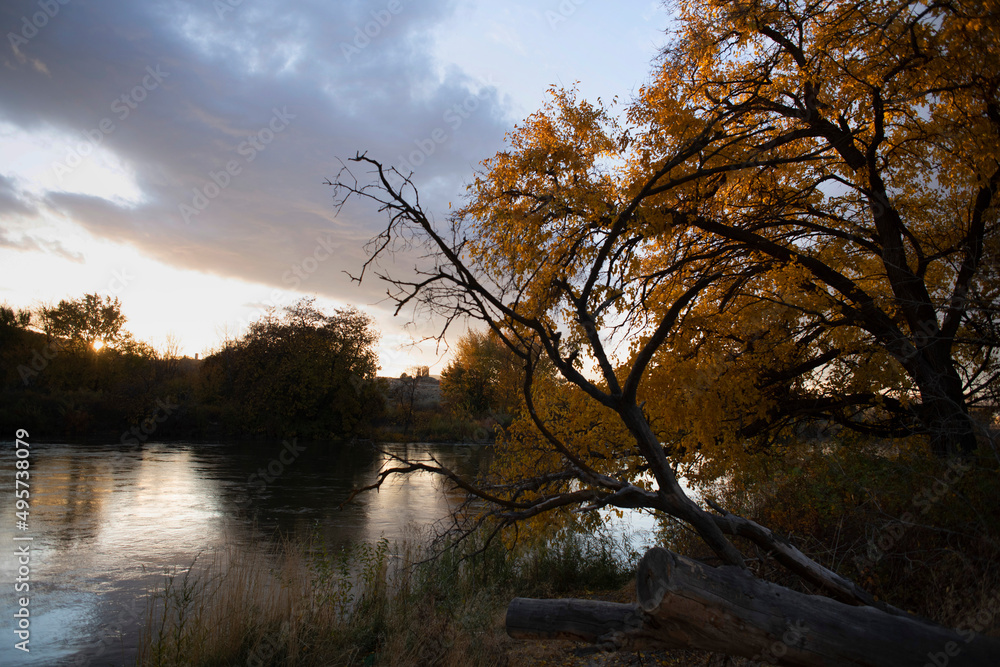 Obraz premium Riverside Meditation