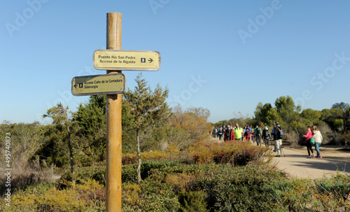 Parque Natural Bahía de Cádiz. Senderismo en la Marisma de los Toruños y Pinar de la Algaida. Andalucía, España.