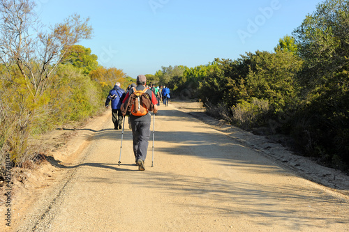 Grupo de senderistas en la Marisma de los Toruños y Pinar de la Algaida. Parque Natural Bahía de Cádiz, Andalucía, España. photo