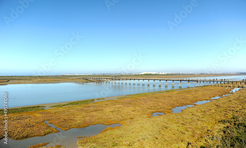 Puente de madera sobre el R  o San Pedro. Marisma de los Toru  os y Pinar de la Algaida. Parque Natural Bah  a de C  diz  Andaluc  a  Espa  a.