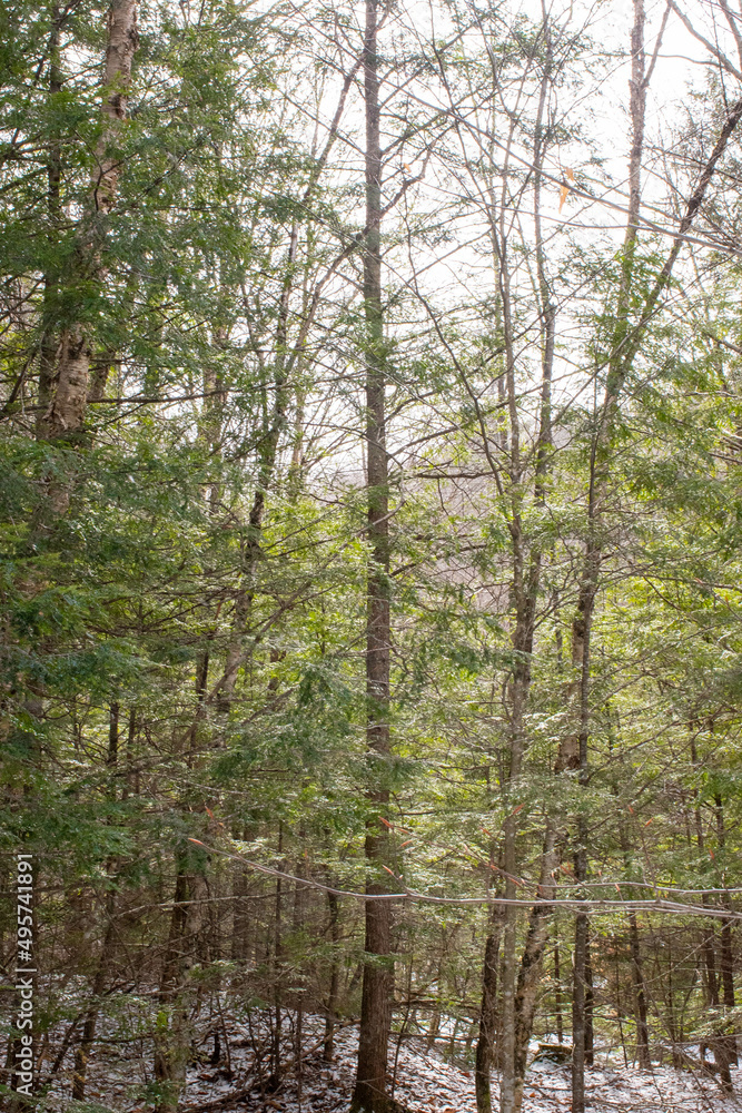 Fototapeta premium Vermont waterfall and clear swimming hole