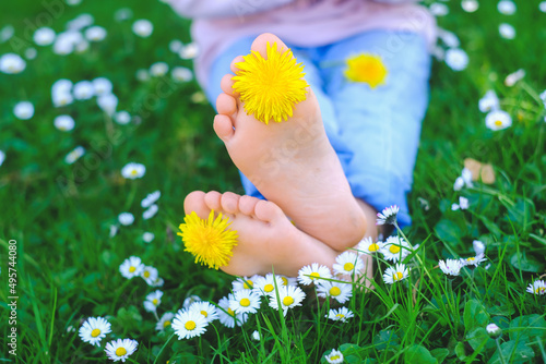 Close up child barefeet with dandelions yellow flowers on fresh green grass. Summer spring season concept Easter village countryside