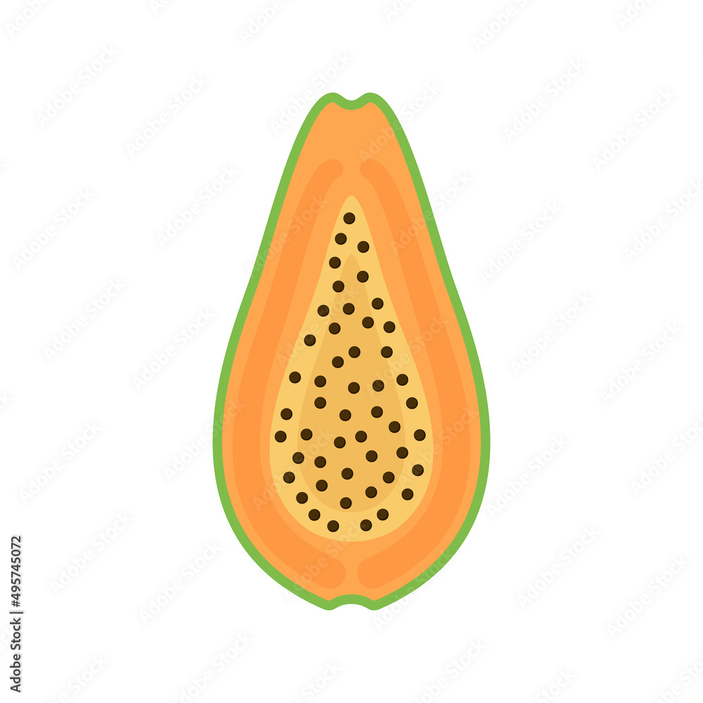 Papaya on white background. Papaya icon vector. Papaya on white background. Papaya icon vector.